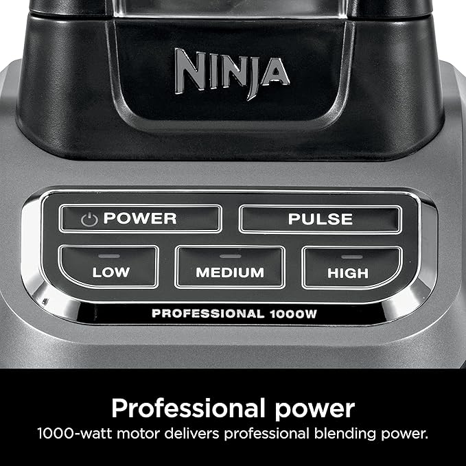 Professional Blender 1000W
