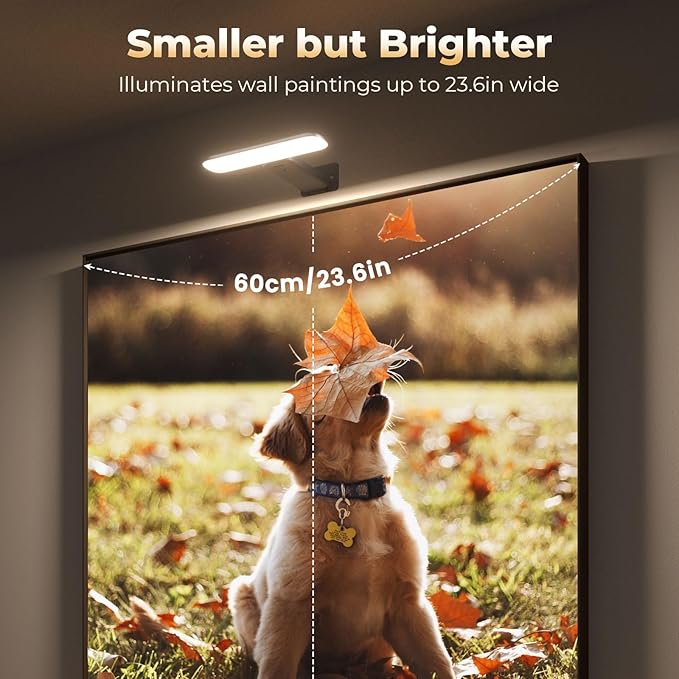 FULEN 2 Pack Picture Lights for Wall
